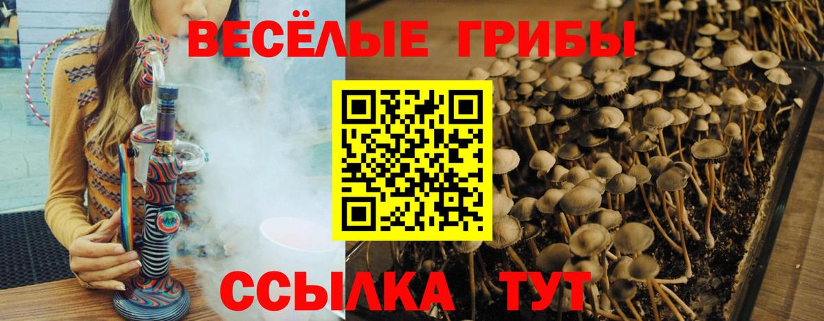 Псилоцибиновые грибы GOLDEN TEACHER  Вход с VPN  Псилоцибиновые грибы ЛСД  Туймазы 