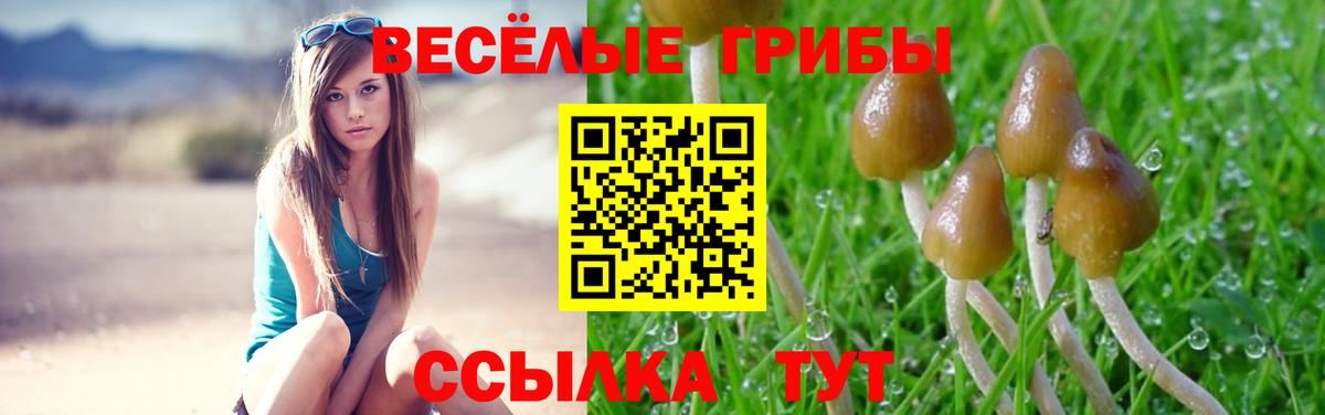 Псилоцибиновые грибы Cubensis Туймазы